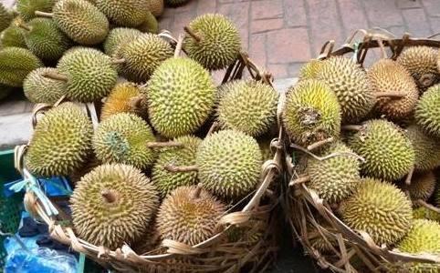 童年在“榴莲”