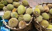 “榴莲”里的童年