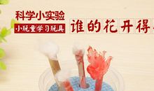 神奇的科学小实验