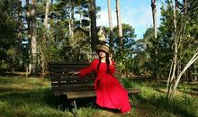 在岁月的堤岸慢慢行走