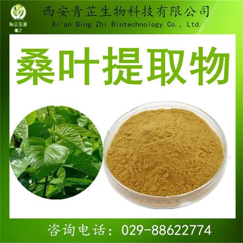 桑叶历险记