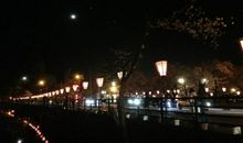 探访家乡的夜晚