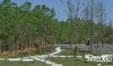 游合肥滨湖湿地公园