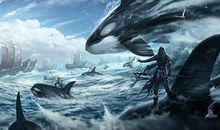 一片星空，一片未来