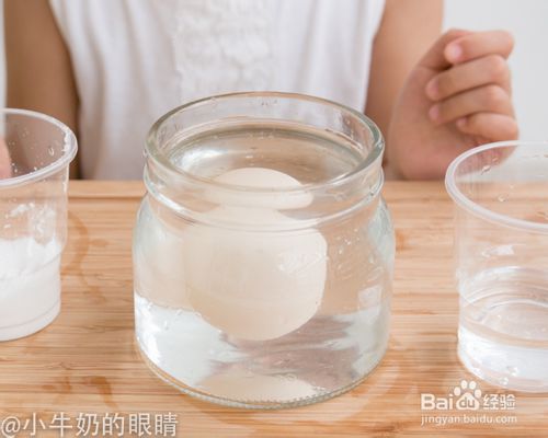 鸡蛋悬浮实验