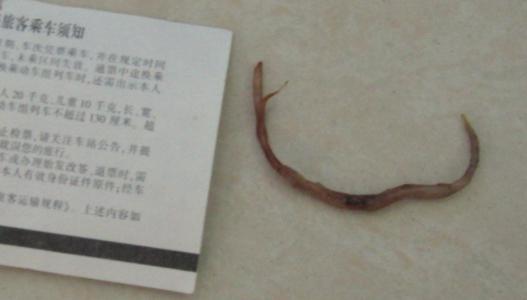 我从earth得到启发