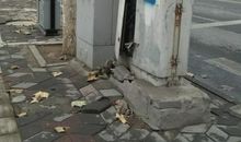 站在合适的位置