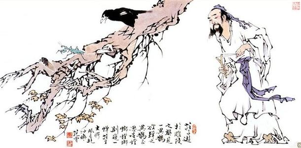 蝉捕捉的启示
