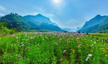 心田上又一道风景