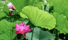 属于我的精彩瞬间