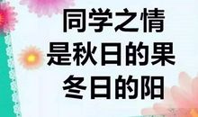 谢谢你，我的同学