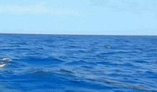 心中划过的弧线