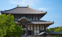 古都奈良之行有感