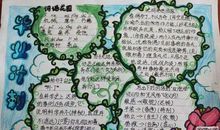 再见了，亲爱的母校