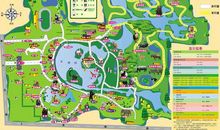 游上海西郊动物园