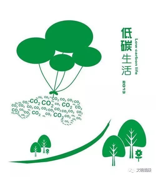 生命之网