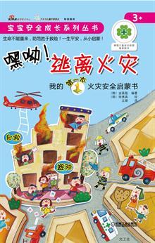我为大家推荐一本书