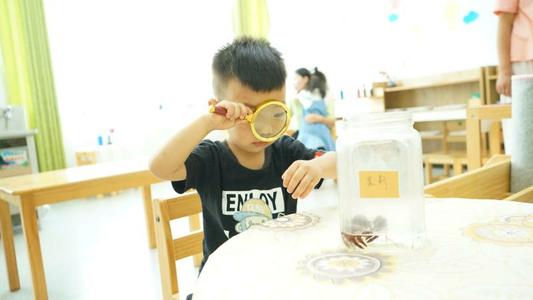 班上的小客人