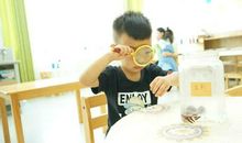 班里来了小客人