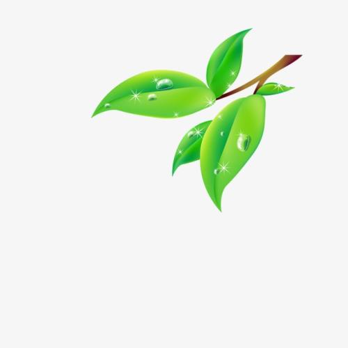 叶子漂流