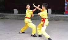 学武术