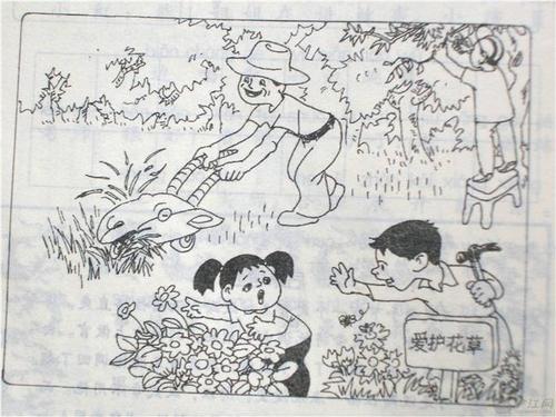 保护小鸟，读图片，并写上二年级的单词