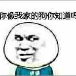 我的“表情包”