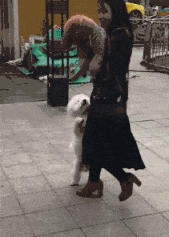 泰迪，我想告诉你...