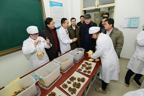 关于参观植物标本室的想法