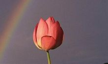 让春天走进心灵