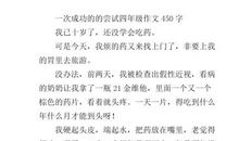 一次尝试作文800字