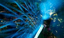 我梦见了未来的海洋