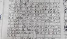 难忘的第一次500字作文