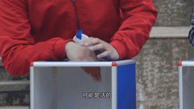 恐怖盒子的秘密