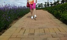 有你的陪伴，真好