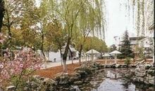 啊校园里的小池塘