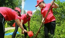 激动人心的一天