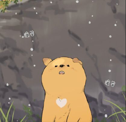 母爱使我免受风吹雨打