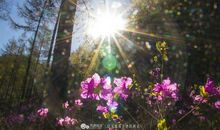 那一片远去的记忆