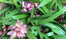 绽放自己的价值