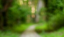 原来成功并不遥远