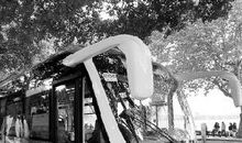 第一次乘公交车