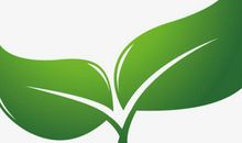 我要做一棵小草