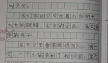 我喜爱的小动物作文300字三年级
