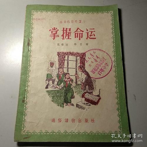 命运大师