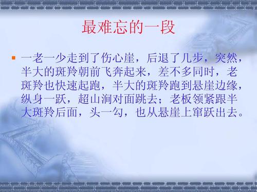 关于阅读《穿越口号》的思考