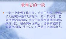 《斑羚飞渡》读后感