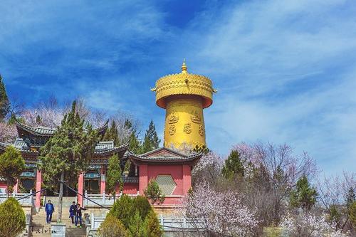 美丽的桂山公园