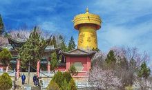 美丽的龟山公园