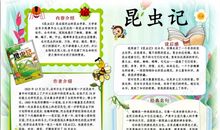 阅读给我带来的快乐